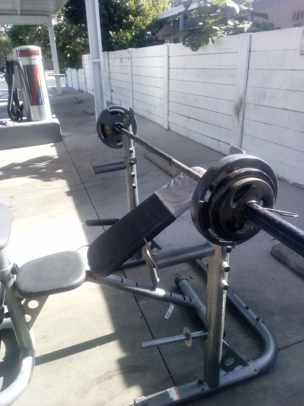 Bench Press Olympic Bar And Weights