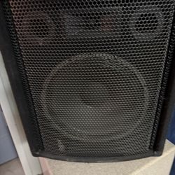 Audio Centron CE-12H Speaker