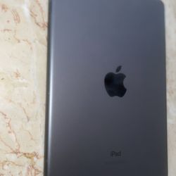 Apple iPad Mini (5th Generation)