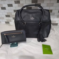 Kate Spade Bag And Wallet Make Offer