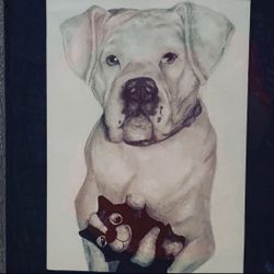 Drawing Commissions For Pets; Pet Portrait 