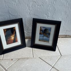 Tropical photography By George Rhodes