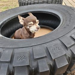 TIRES (×2) BF GOODRICH MUD TERRAIN 