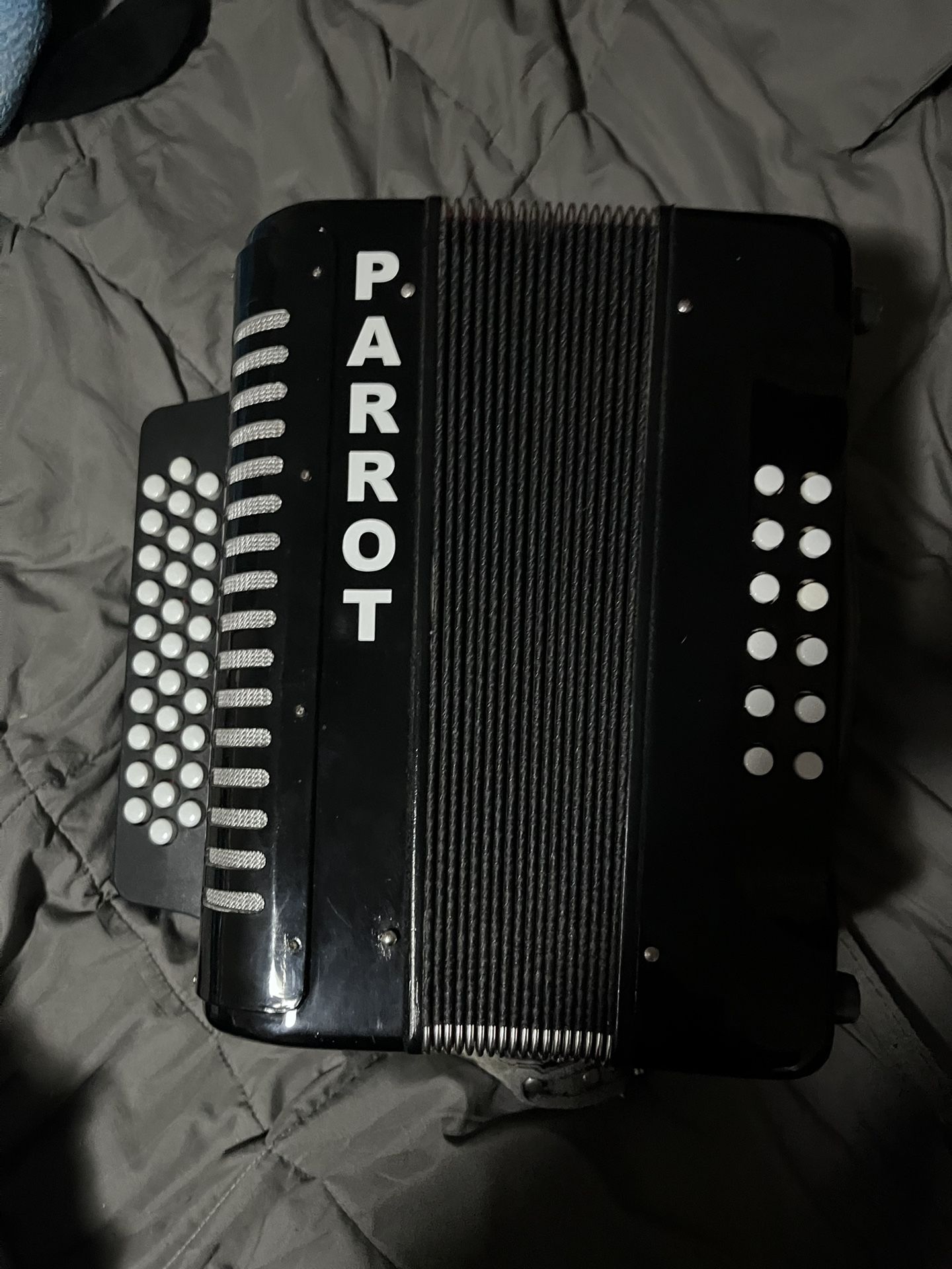 Parrot Accordeon