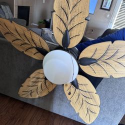 Indoor / Outdoor Ceiling Fan 