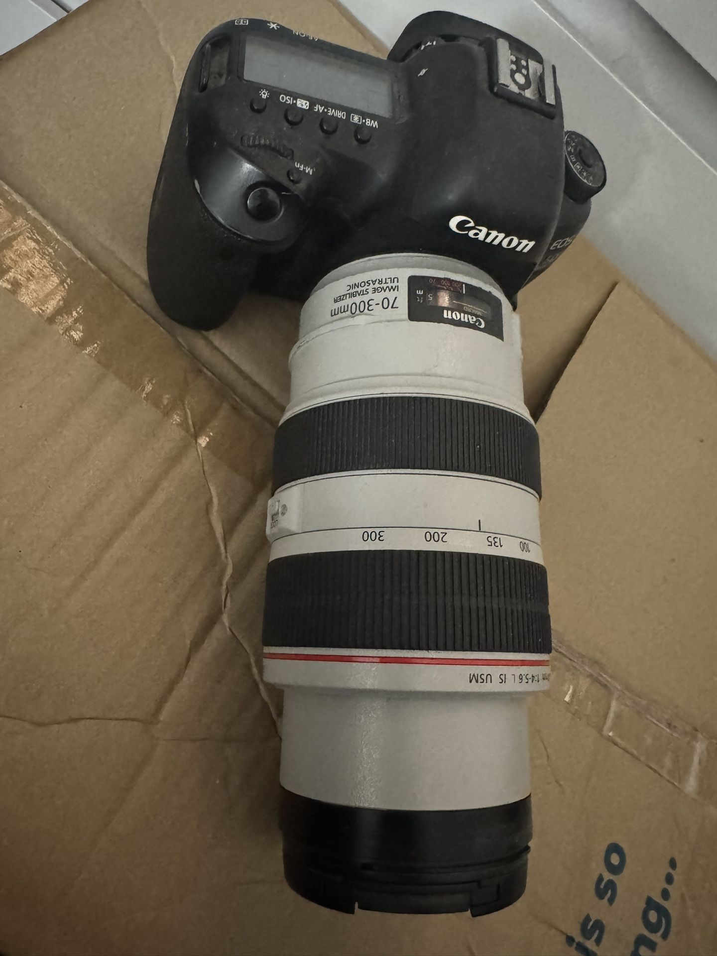 Canon 5D Mark IV with 70-300mm Lens 