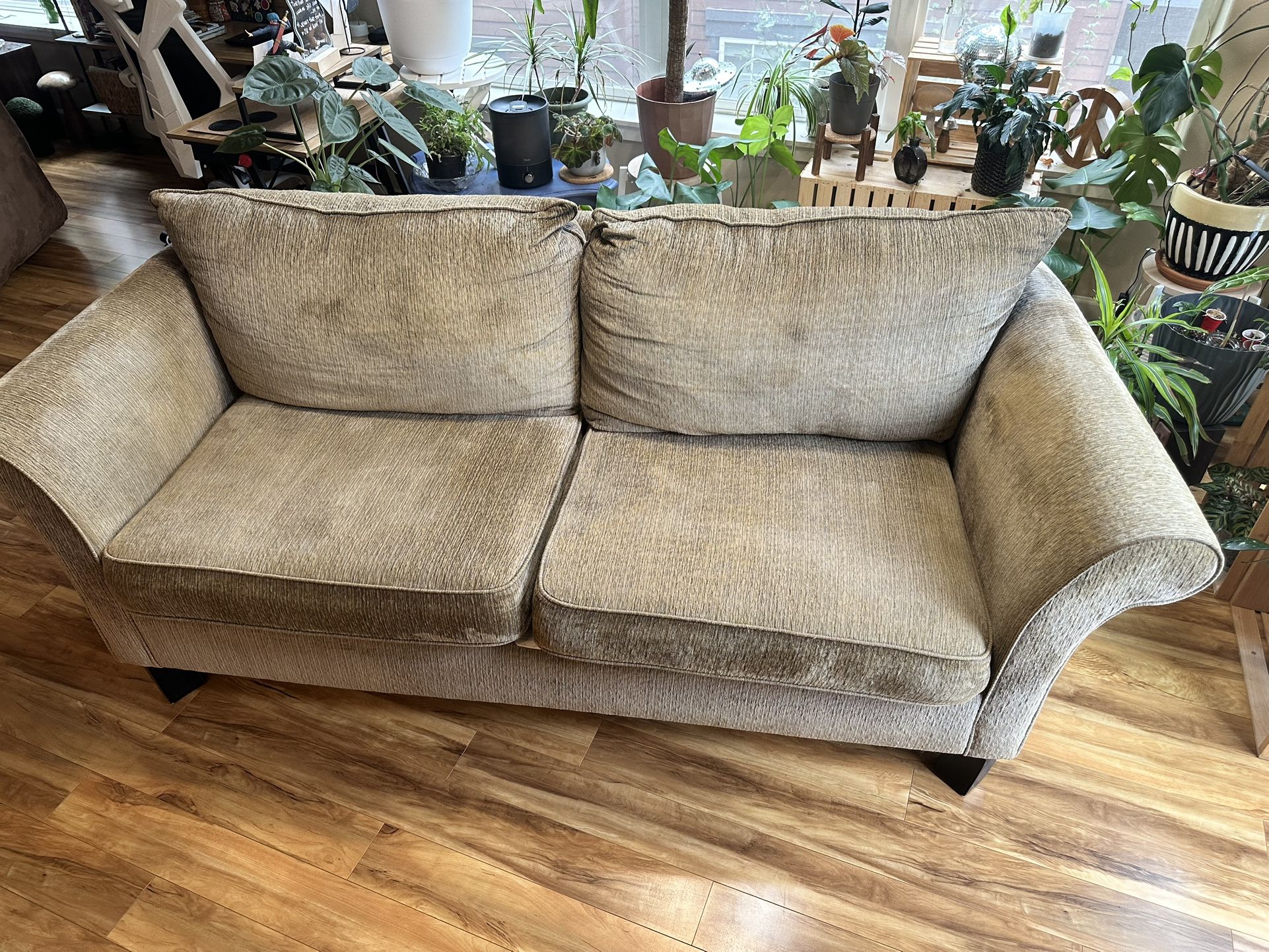 Love Seat And Couch