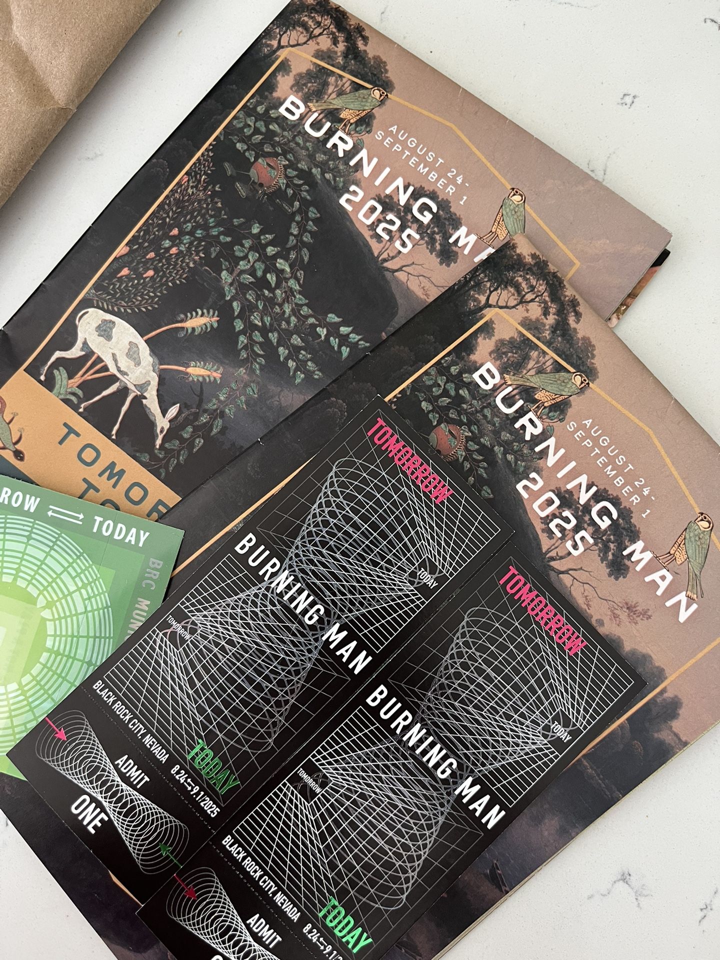 Burning Man Tickets