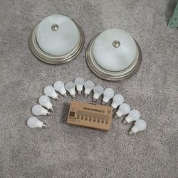 Fountain Light and 21 Non Dimmable Bulbs