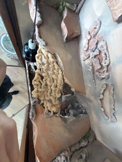 Reptile Enclosure