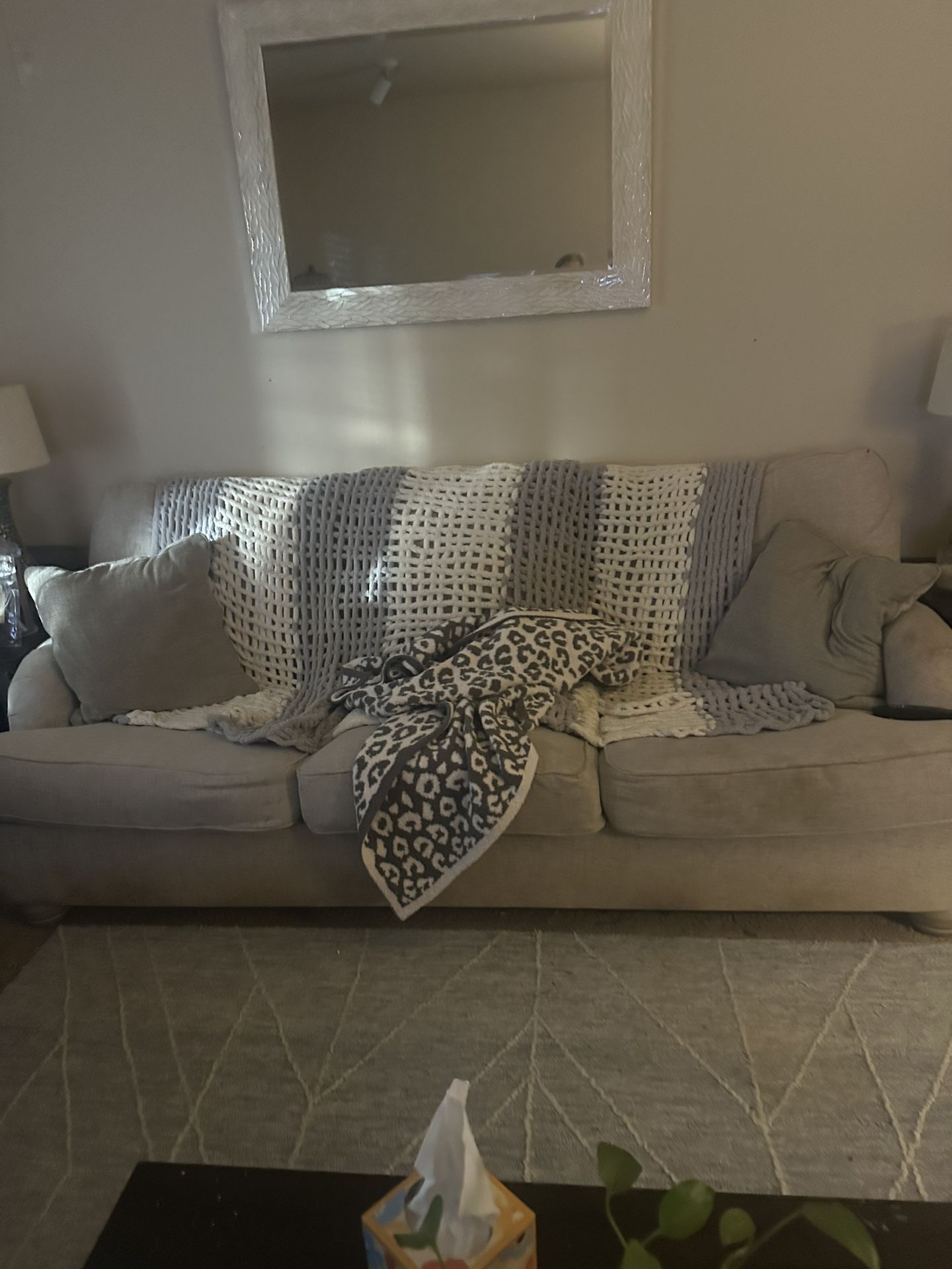 Free Couch And Loveseat