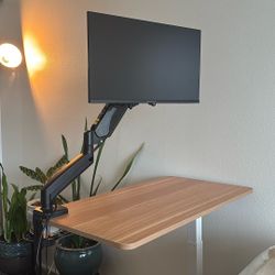 Packard Bell airFrame 21" FHD Monitor, 1920x1080 VESA mounted