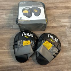 Everlast Punch Mitts