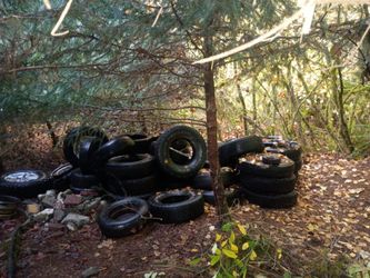 Free Used Tires — Must Take All