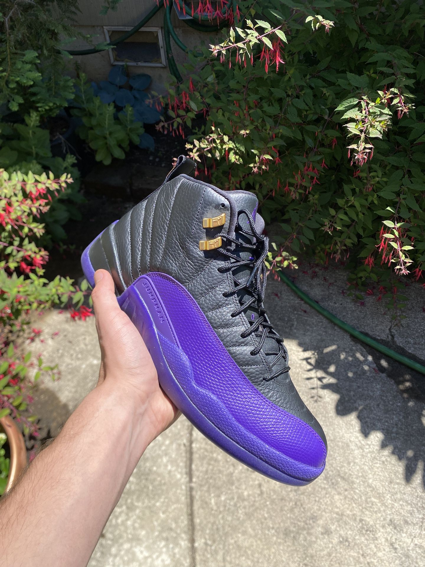 Jordan 12 Field Purple