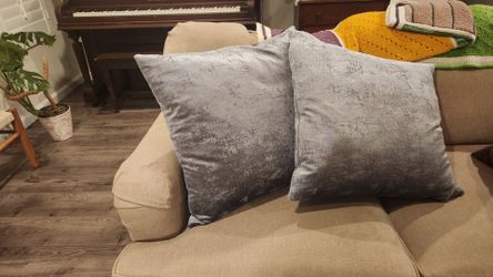 Two decorative pillows