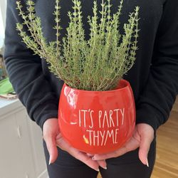 Rae Dunn Thyme Planter