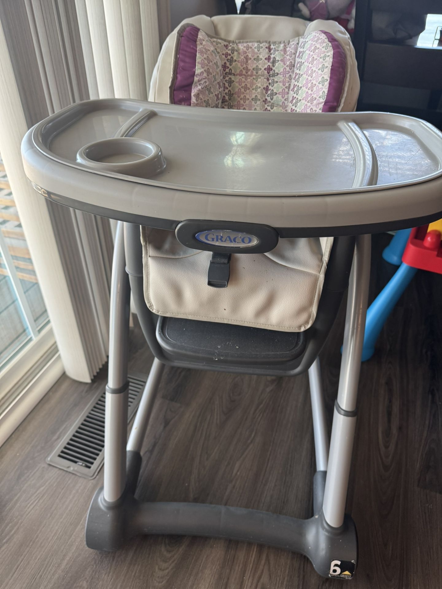 Graco Blossom in Convertible High Chair, Redmond, Infant