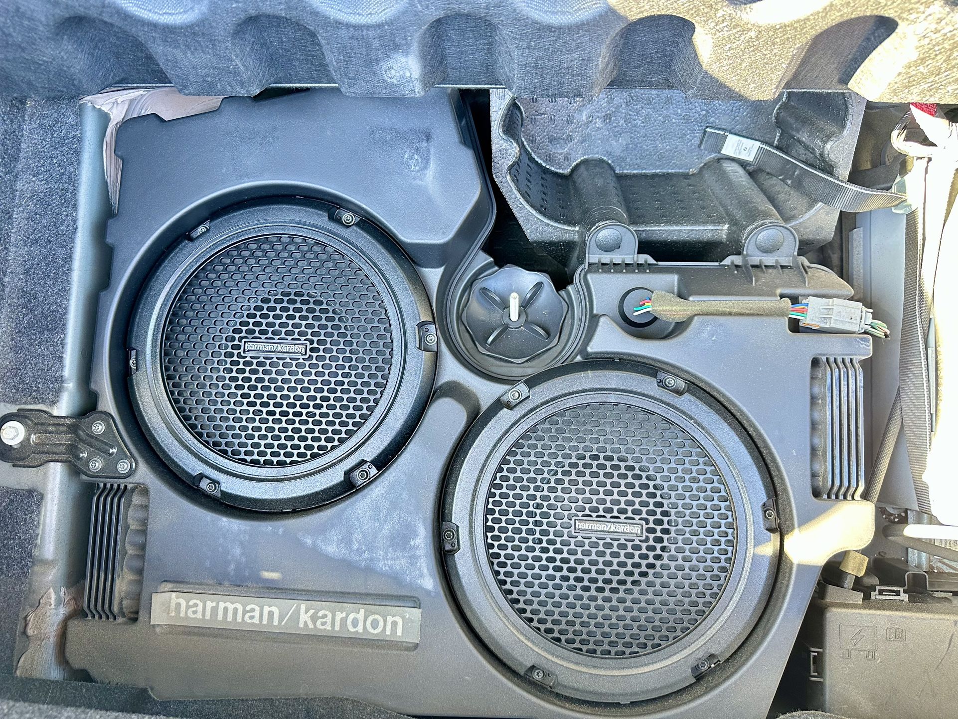 OEM Dodge Challenger Subwoofer Speaker