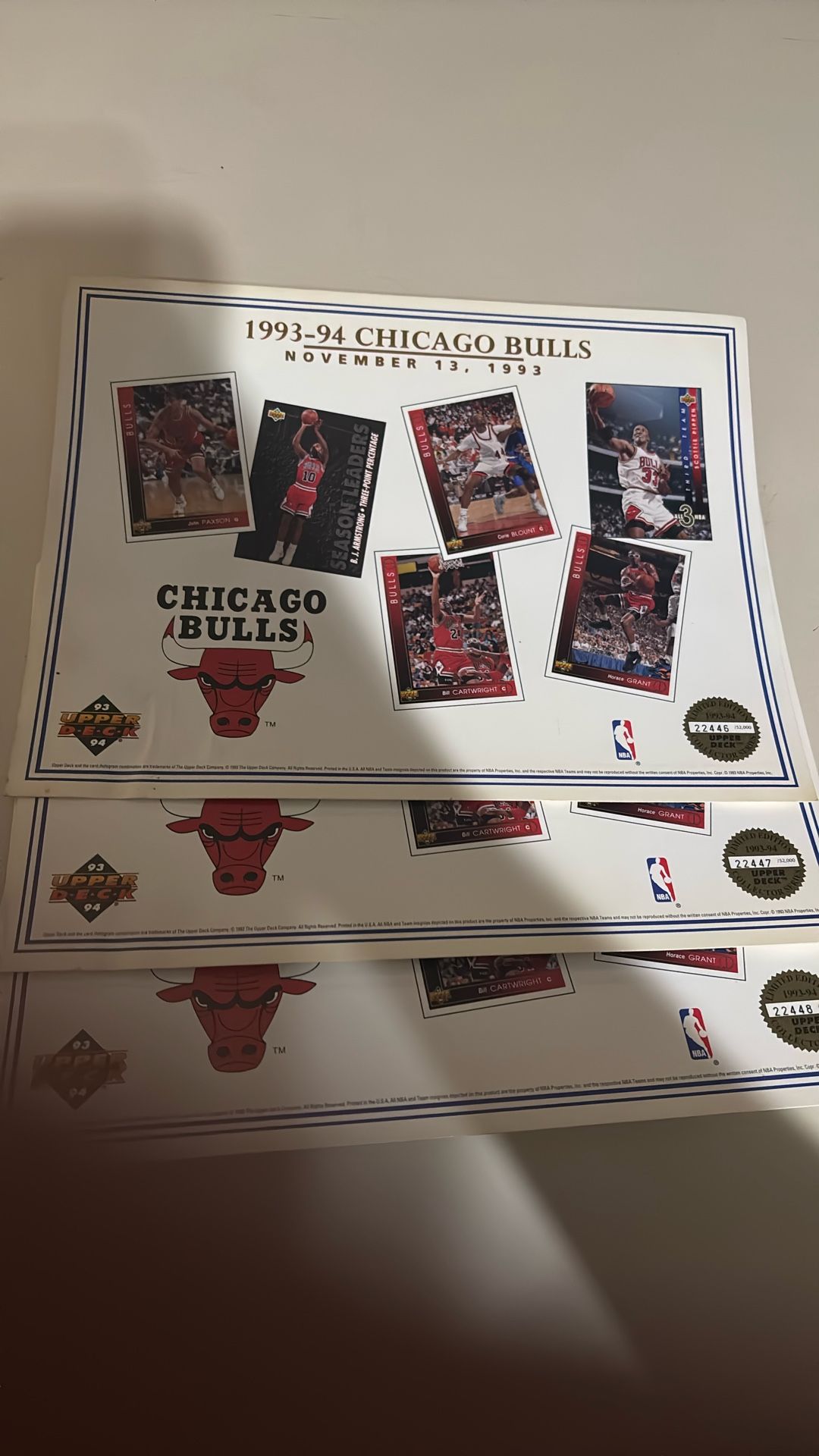 1993- 94 Chicago Bulls