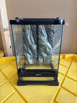 Insect tank