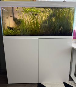 EDEN  aquarium - fish tank 80 gallon