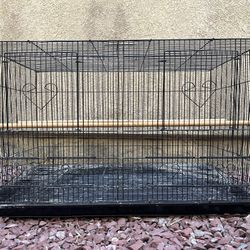 Cage for Ringneck 