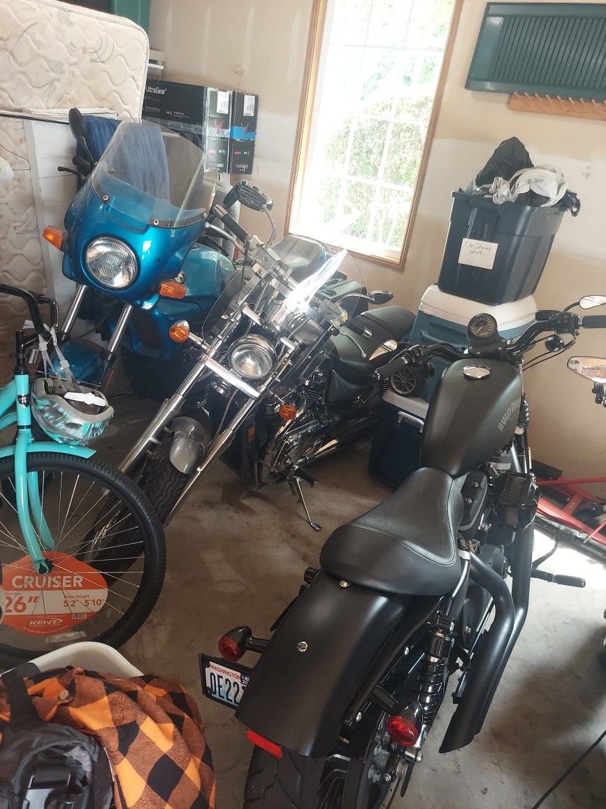 Suzuki Cruiser (Middle Bike)