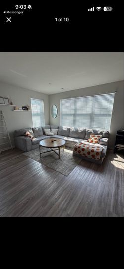 Large Gray Plush Sectional Couch with Chaise