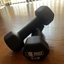 Two 5lb weights 