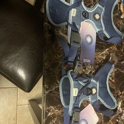 One large and one small pet harness $15 each or two for 25