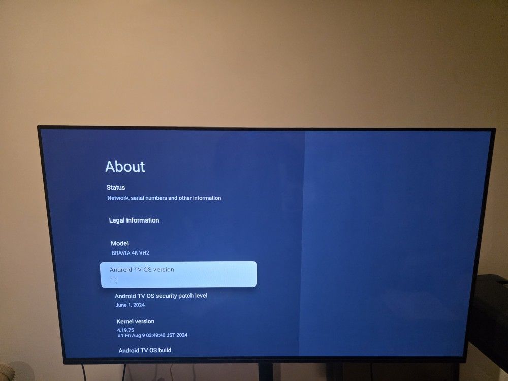 Sony BRAVIA 4K VH2
