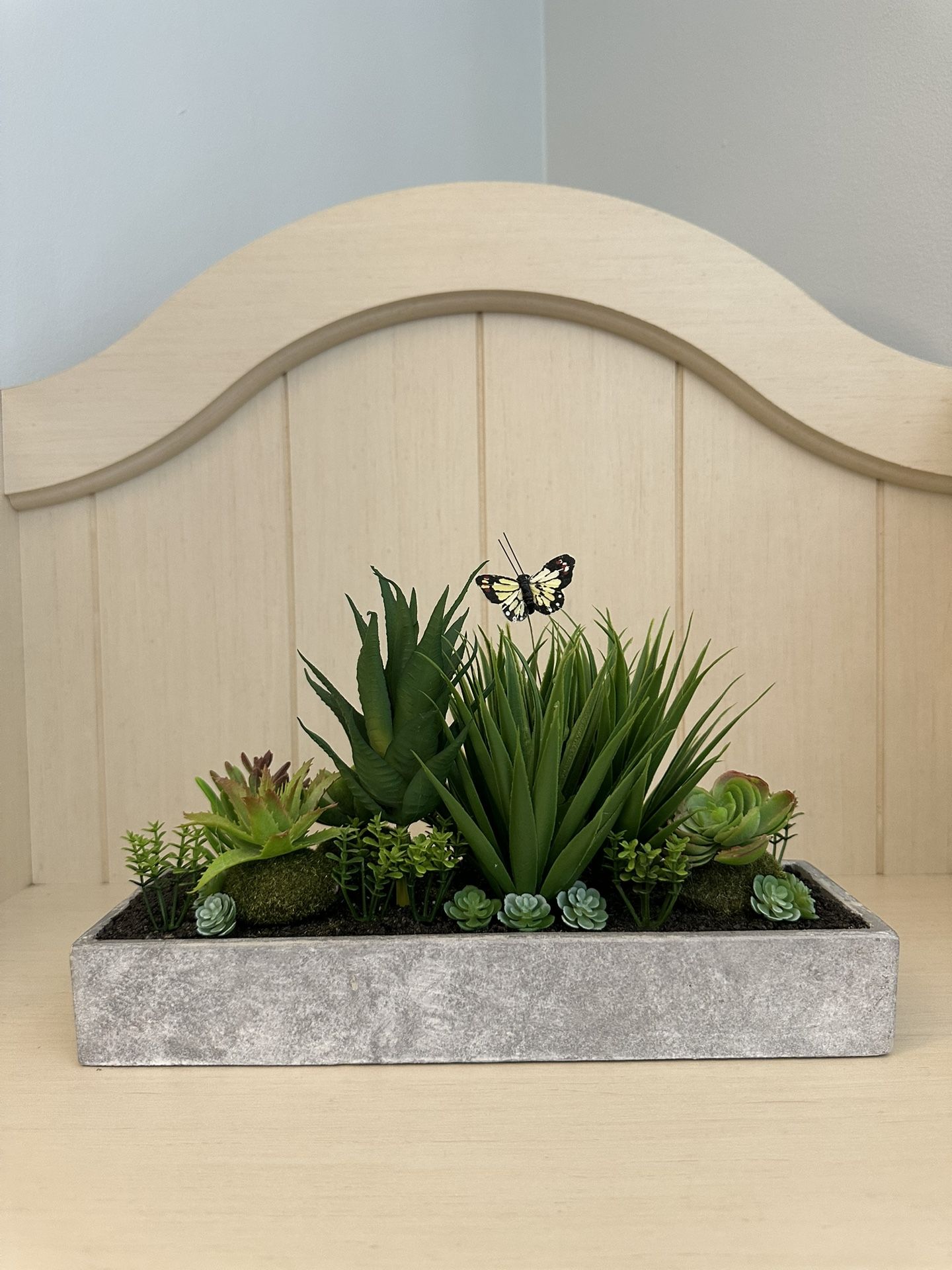 Succulent Decor 🌿