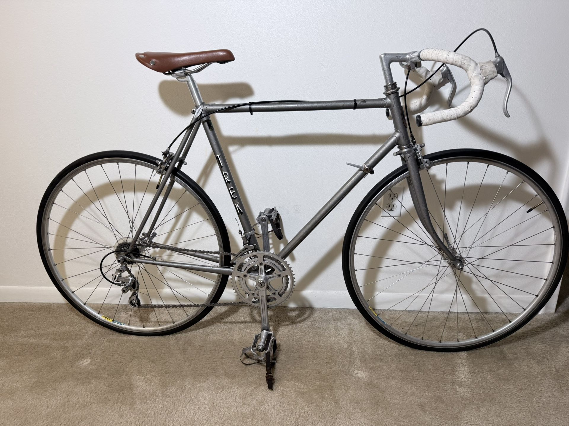 1970s trek 714 or 718?  Steel road bike Vintage Survivor condition