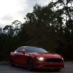 2019 Ford Mustang