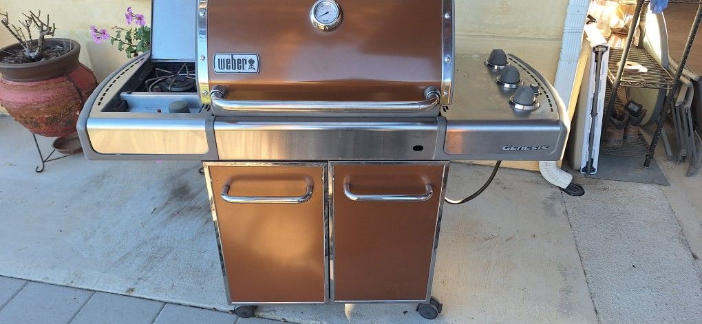 Weber Grill Bbq Weber