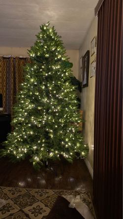 Christmas Tree For Sale