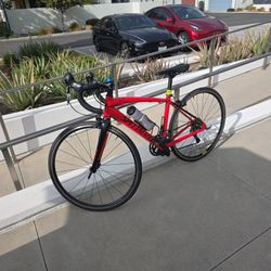 Specialized 44 Road Bike