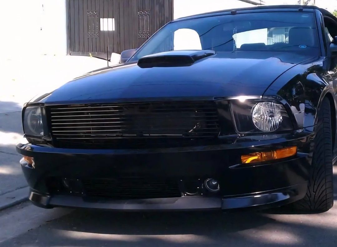 Mustang Gt Hood