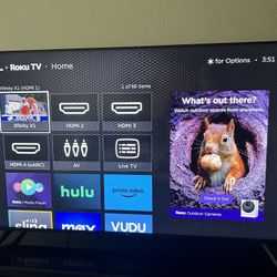 Immaculate Condition- 55” TCL Roku TV