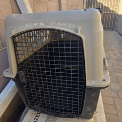 36 inch dog kennel