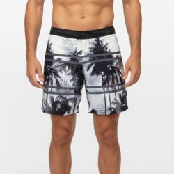 Cole Men's Black Grey Beach Scene Palm Trees Ocean Board Swim Shorts Trunks Sz L