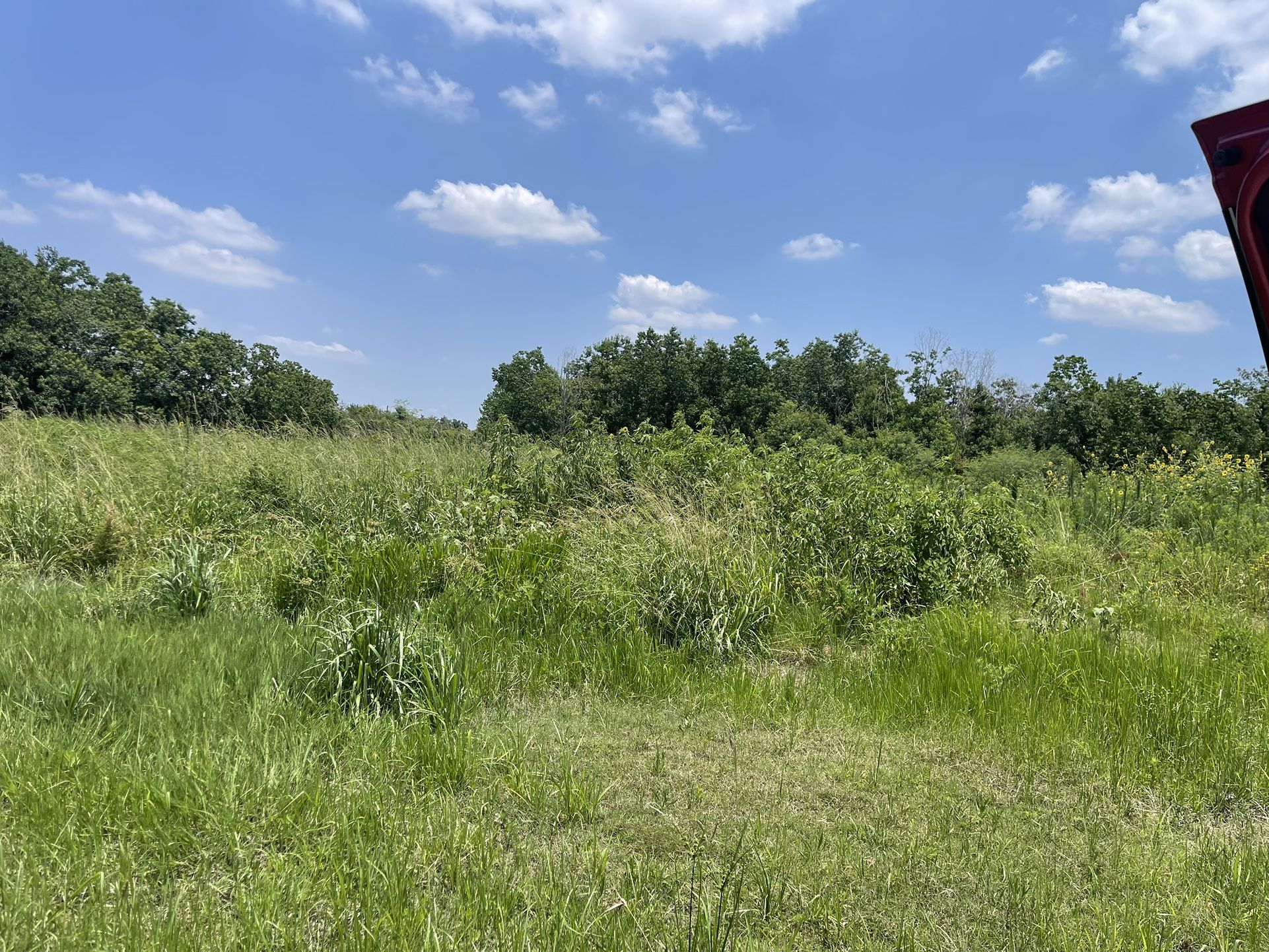 Land For Sale Fresno Texas for Sale in Pearland, TX OfferUp