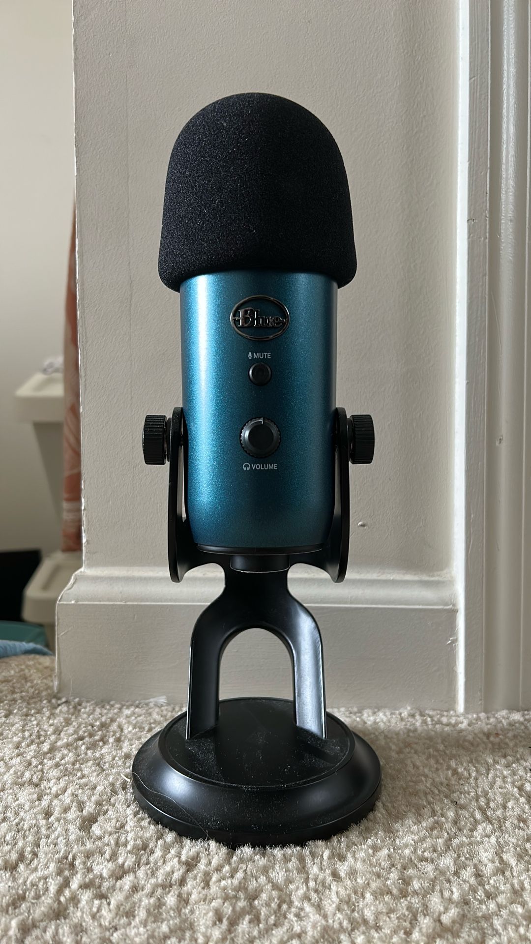 Blue Yeti Microphone Not Used