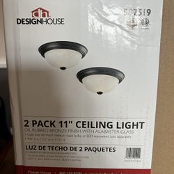 Ceiling Globe Lights - 2 Pack