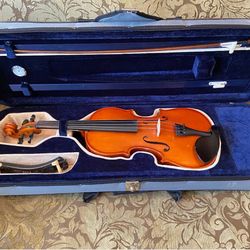 DZ Strad Violin - Carved Top Violin Outfit 4/4