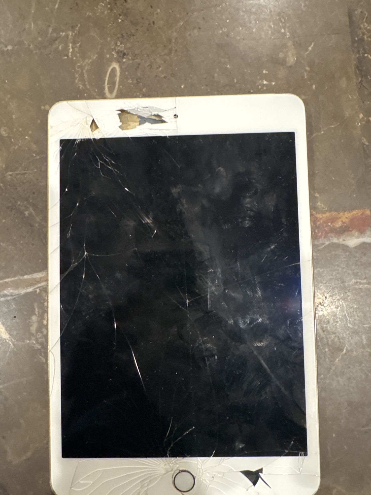 iPad Mini (Cracked, For Parts)