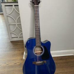 Takamine G Series