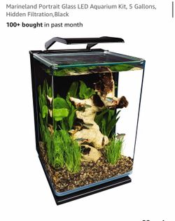 5 gallon fish tank + fish supplies