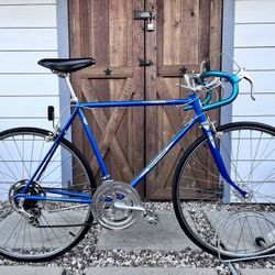 Beautiful Vintage Made In Chicago Schwinn Varsity Road Bike